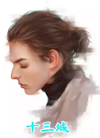十三城小说