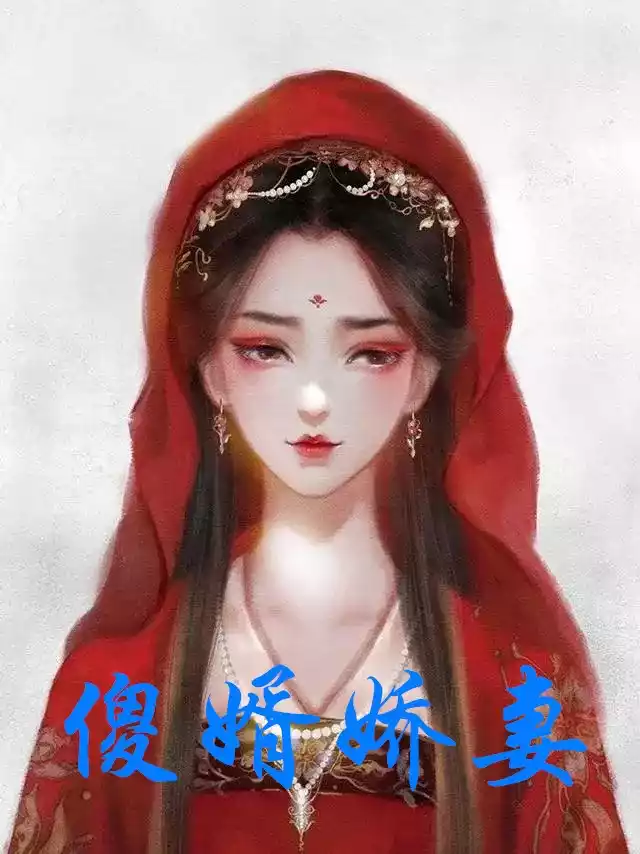 傻婿娇妻
