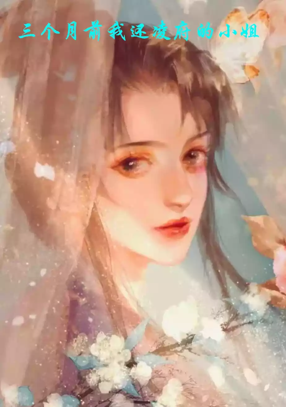 三个月前我还凌府的小姐小说