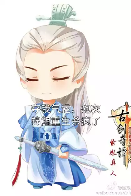 夺我气运，炮灰锦鲤重生杀疯了