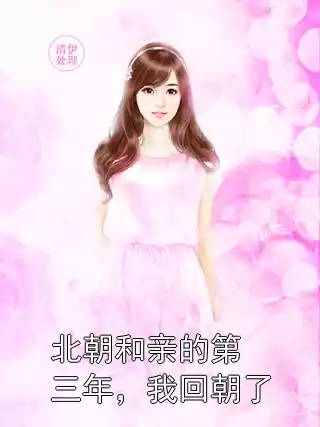 北朝和亲的第三年，我回朝了小说