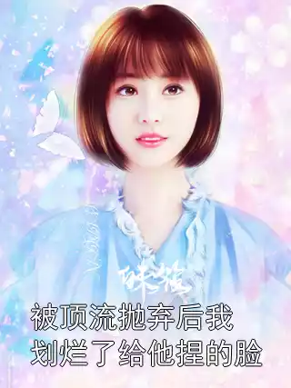 被顶流抛弃后我划烂了给他捏的脸小说