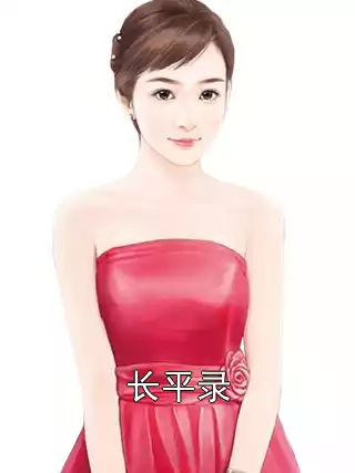 长平录小说