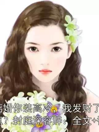 提离婚你装高冷，我发财了你发疯？封庭深容辞：全文+番外小说
