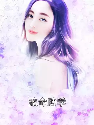 致命助学小说