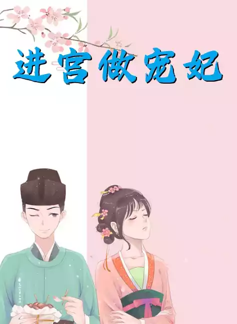 进宫做宠妃