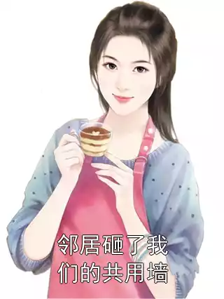 邻居砸了我们的共用墙小说