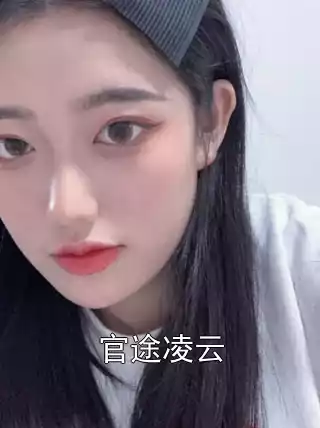 官途凌云小说