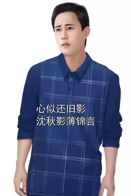 心似还旧影沈秋影薄锦言