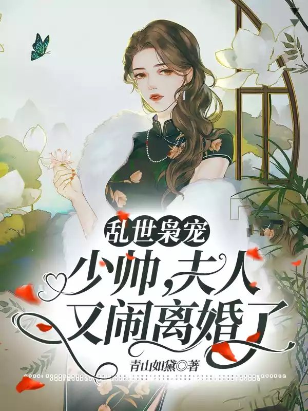 乱世枭宠少帅夫人又闹离婚了小说