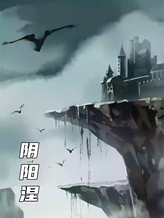 阴阳涅小说