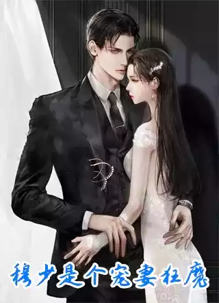 穆少是个宠妻狂魔小说