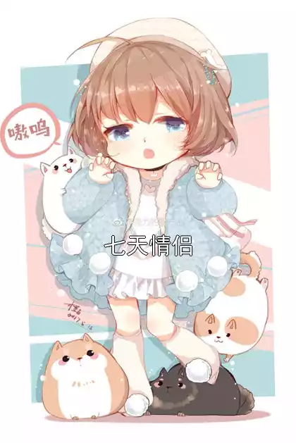 七天情侣小说