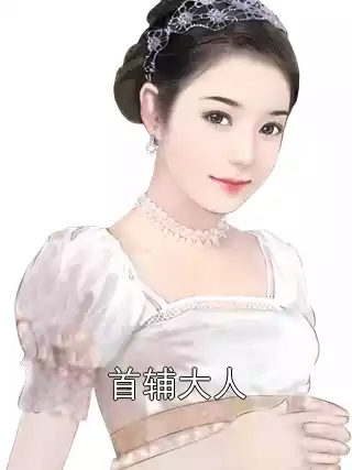 首辅大人小说