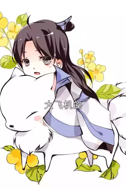 大飞机的小说