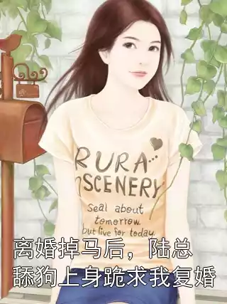 离婚掉马后，陆总舔狗上身跪求我复婚小说