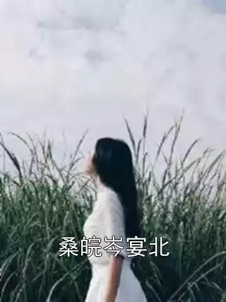 桑皖岑宴北小说