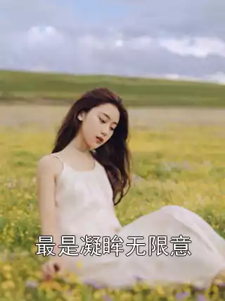 最是凝眸无限意小说