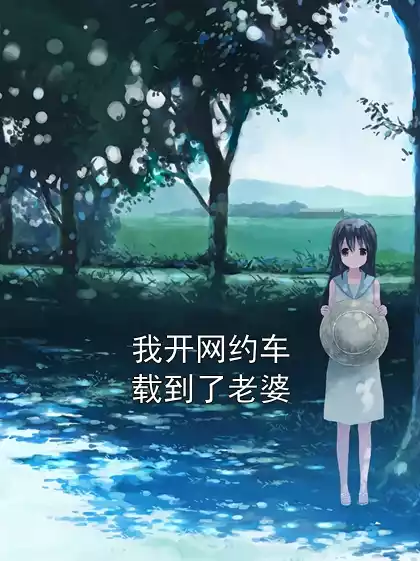 我开网约车载到了老婆小说