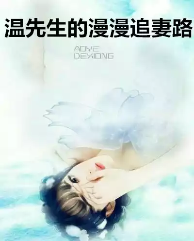 温先生的漫漫追妻路小说