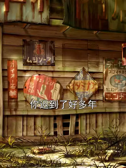 你迟到了好多年小说
