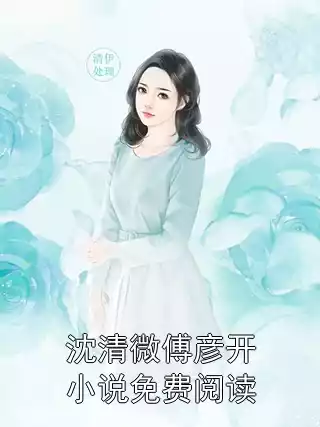 沈清微傅彦开小说免费阅读小说