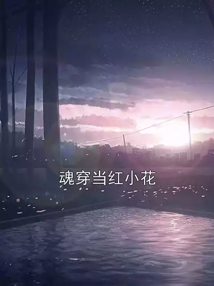 魂穿当红小花小说