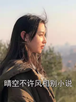 晴空不许风相别小说小说