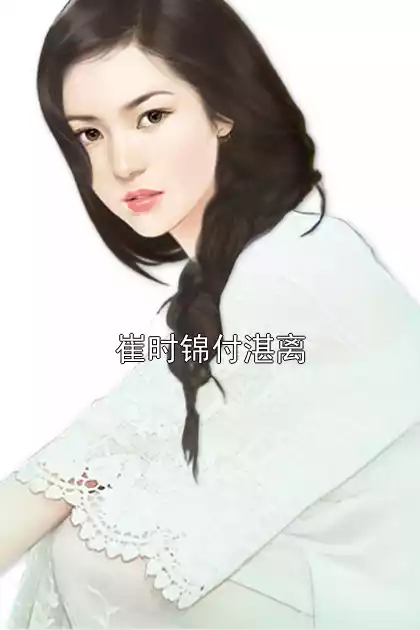 崔时锦付湛离小说