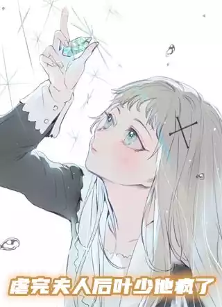 虐完夫人后叶少他疯了小说