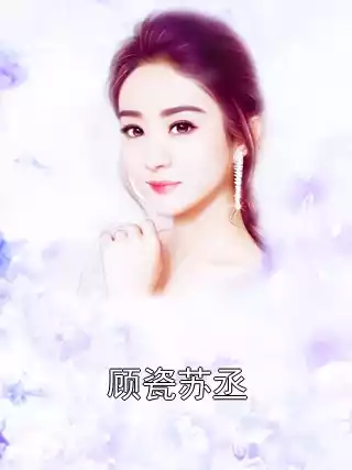 顾瓷苏丞小说