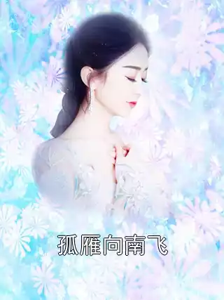 孤雁向南飞小说