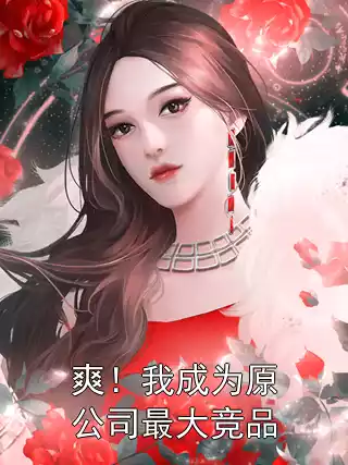 爽！我成为原公司最大竞品小说