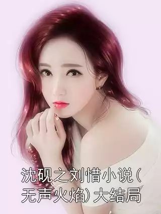沈砚之刘惜小说(无声火焰)大结局小说