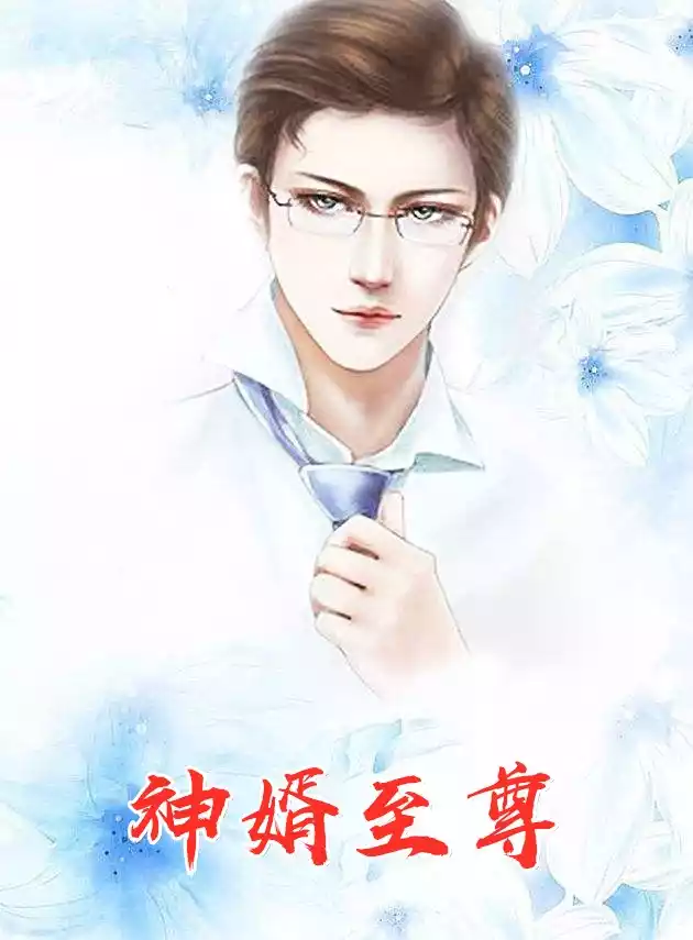 神婿至尊小说