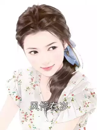 风停在岁