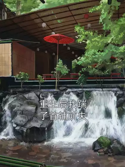 重生后我踹了首辅前夫