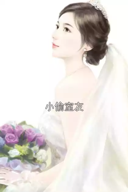 小偷室友小说
