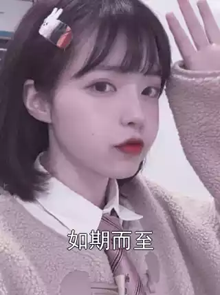 如期而至小说
