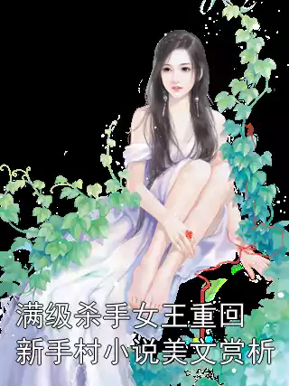 满级杀手女王重回新手村小说美文赏析小说