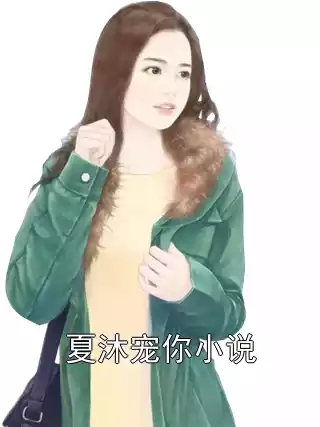 夏沐宠你小说小说