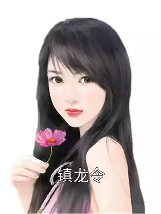 镇龙令小说