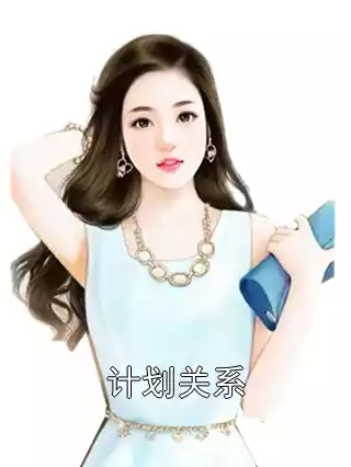 计划关系小说