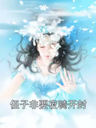 侄子非要夜骑开封小说