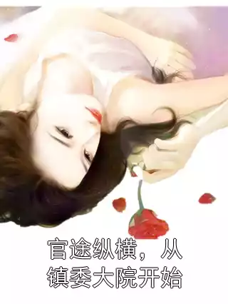 官途纵横，从镇委大院开始小说