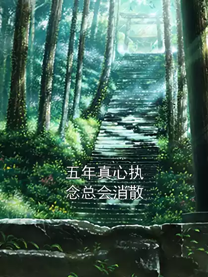 五年真心执念总会消散小说