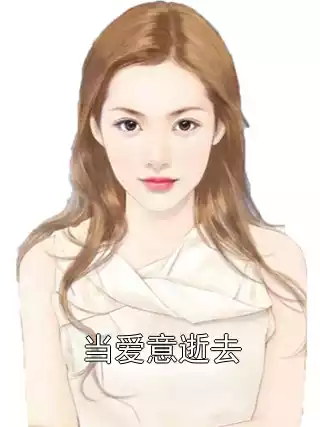 当爱意逝去小说
