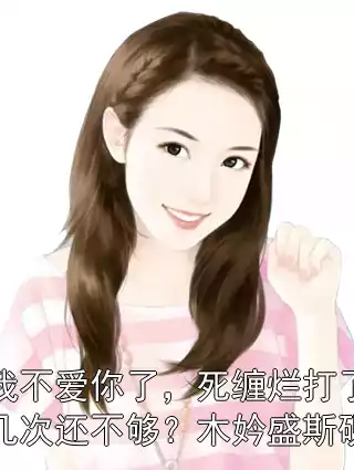 我不爱你了，死缠烂打了几次还不够？木妗盛斯砚小说