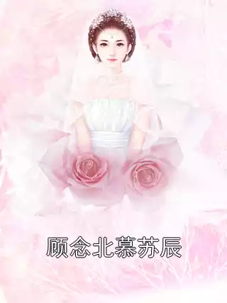 顾念北慕苏辰小说