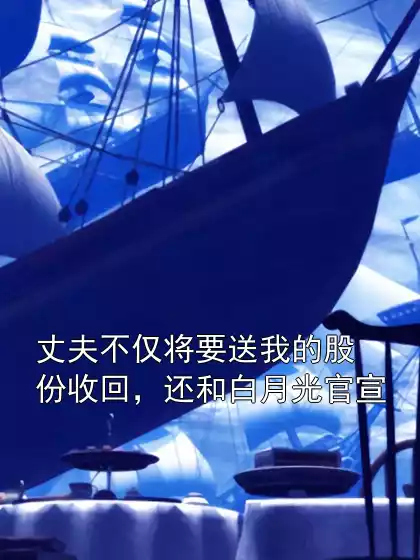 丈夫不仅将要送我的股份收回，还和白月光官宣小说